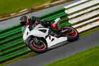 Advanced Group White Bikes
